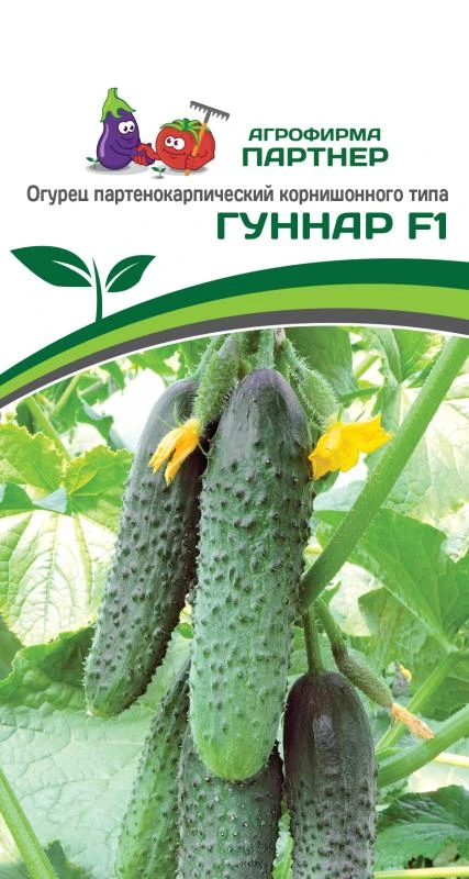 Партнер Огурец ГУННАР F1 ^(5шт), изображение 0